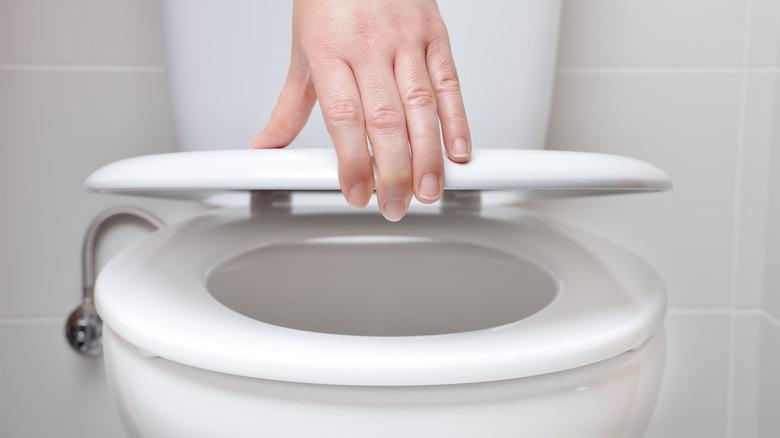 hand with toilet lid