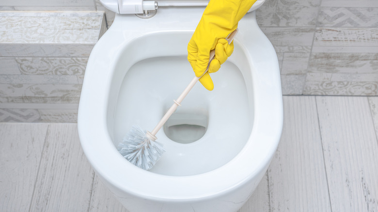 hand cleaning toilet with brush