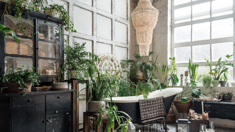 woven chandelier with plants