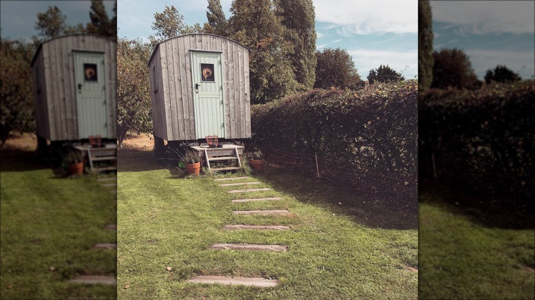 wood pathway in grass