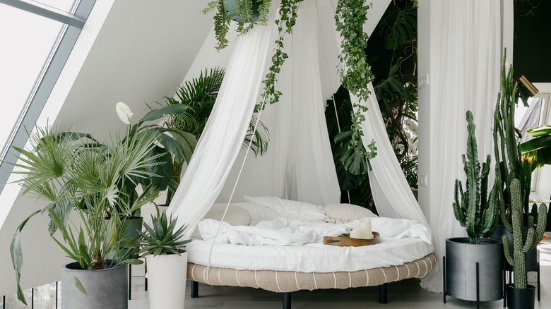 round bed surrounded by plants 