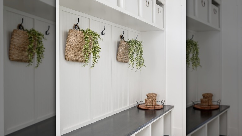 white bench with hanging plants