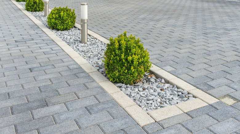 shrubs around gray brick driveway