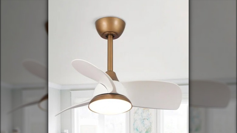 White and brass fan