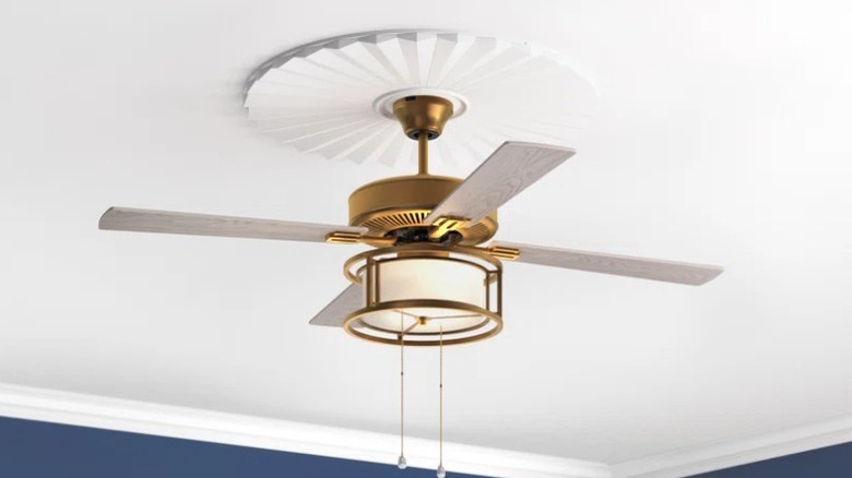 Contemporary ceiling fan