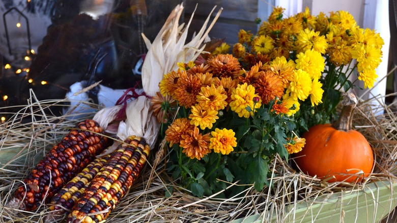 autumnal window box