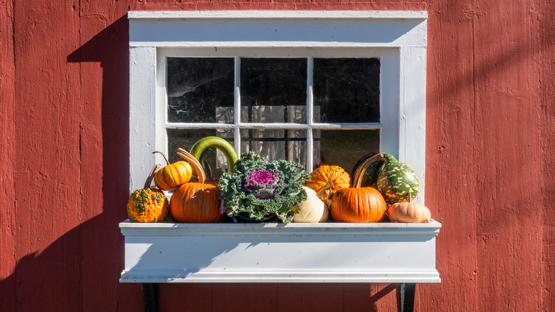 window box with gourds and cabbage