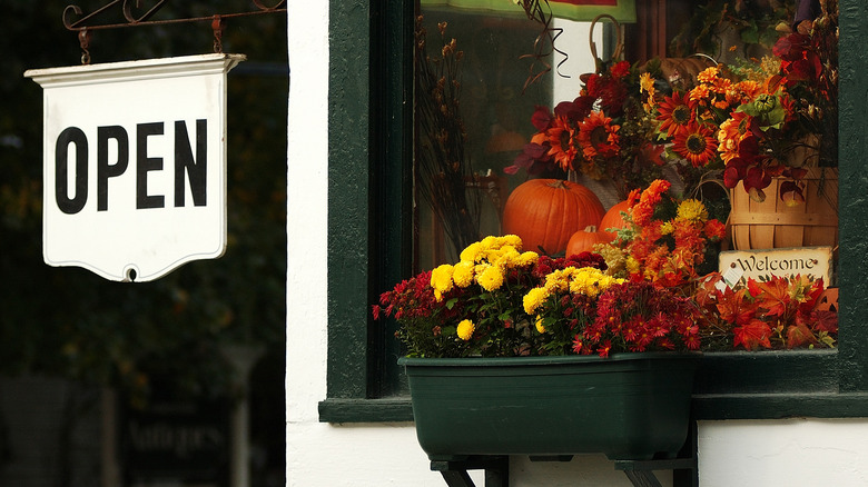 mums in a green window box