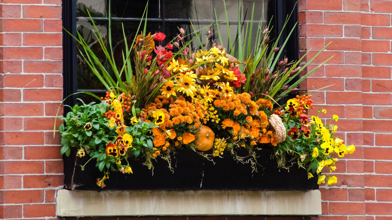 brick building with big floral window box