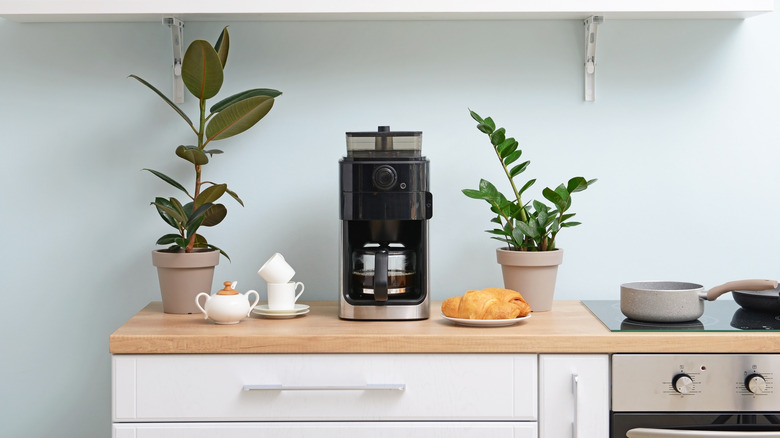 coffee machine between greenery