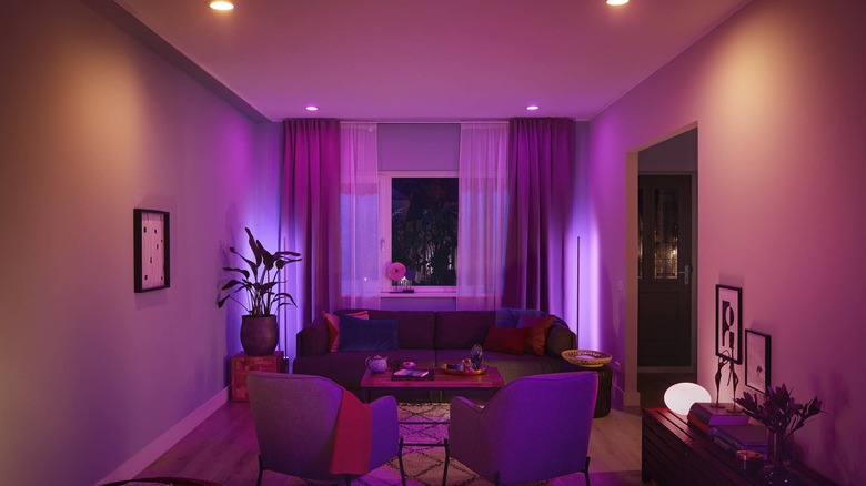 room lit in purple hues