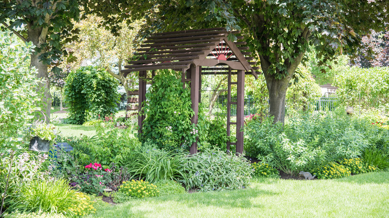 A rustic wooden arbor in a lush green garden