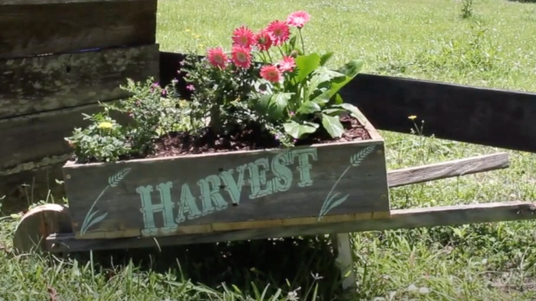 A decorative wheelbarrow planter with pink flowers