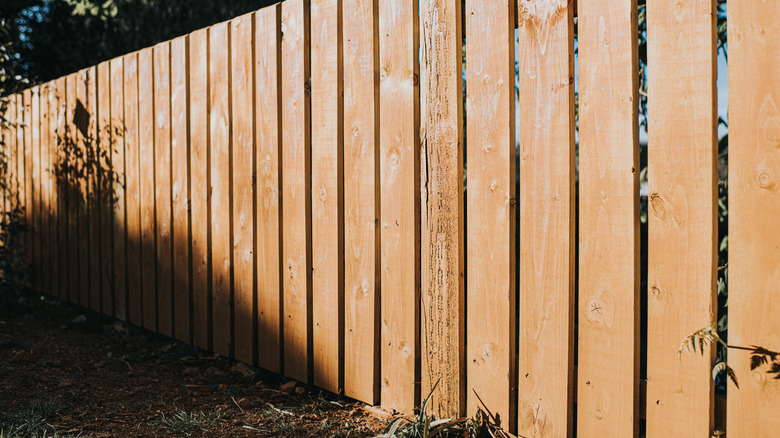 A long wooden fence with untreated posts