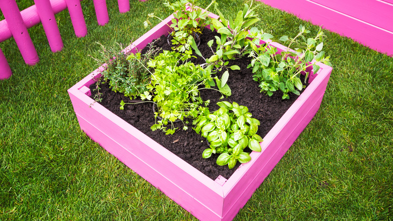 pink colored raised garden bed