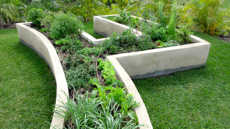 concrete raised garden bed design