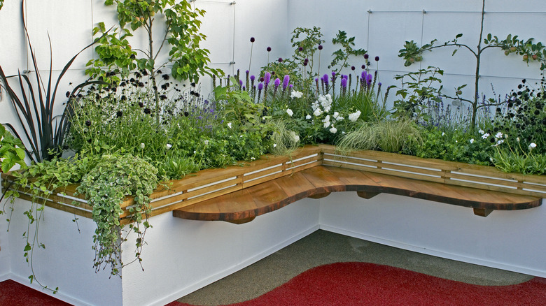 raised garden bed with bench