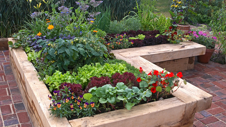 l-shaped raised garden bed