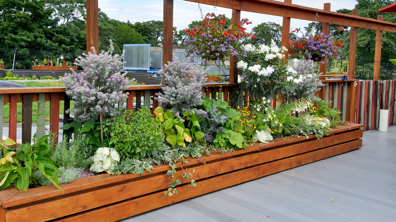 wooden raised garden on deck