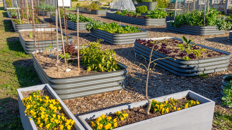 raised garden made of metal