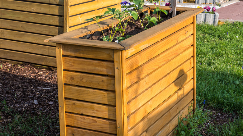 wood panelled garden bed