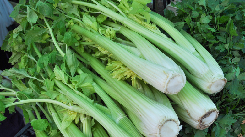 Celery pulled fresh from garden