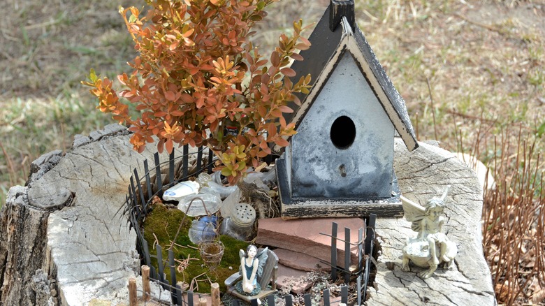 Fairy garden