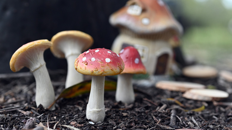 Mushrooms in fairy garden