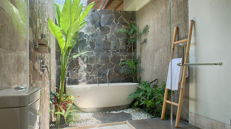 outdoor bath with plants