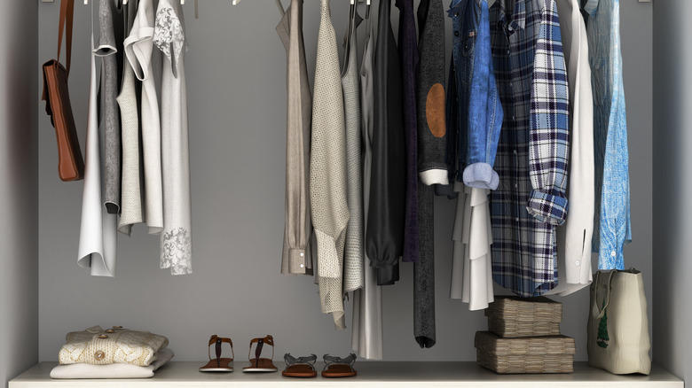 clothes hanging in organized closet