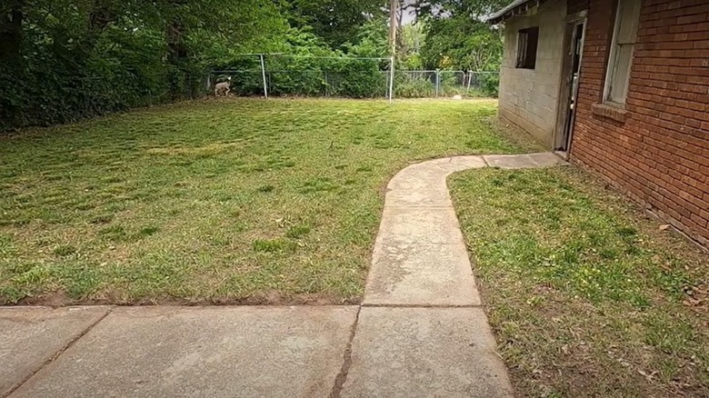 clean backyard with cut lawn