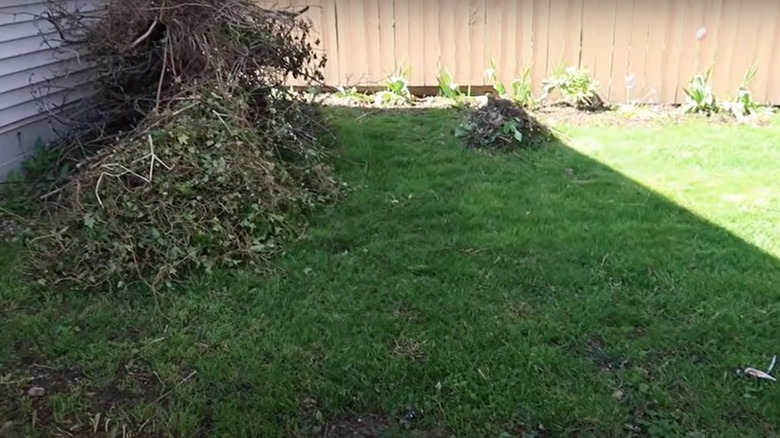 yard trimmings on green lawn