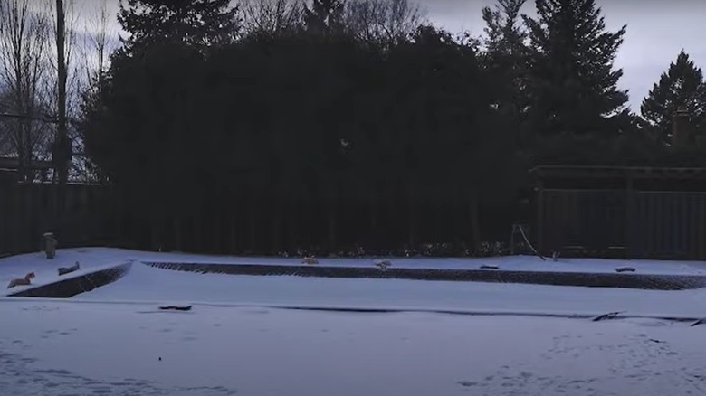 snow-covered in-ground pool