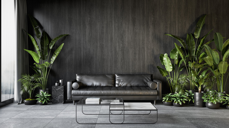 grey living room with plants