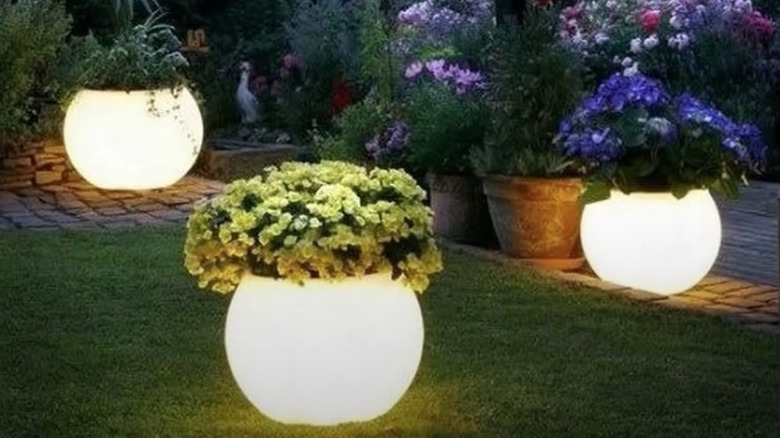 Glowing pots for backyard