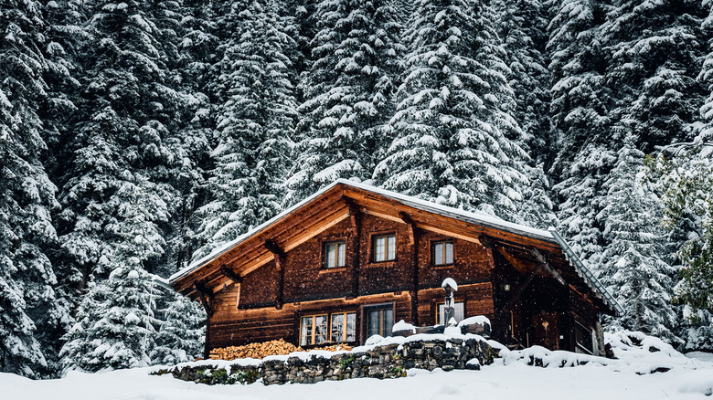 Snow-filled cabin in woods