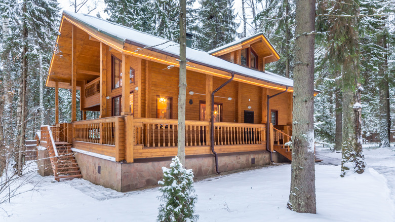 Pine cabin in snowy woods