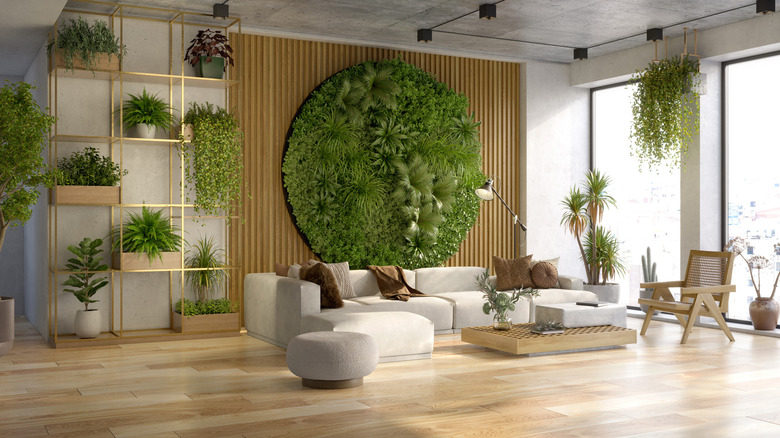 Room with a plant wall