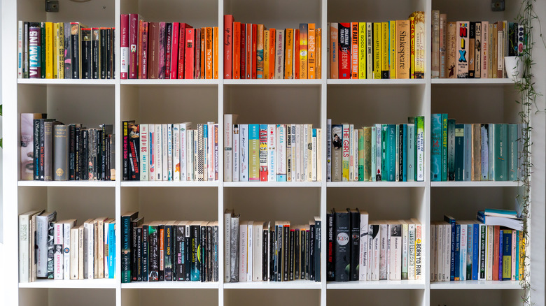 Colorful organized bookshelf