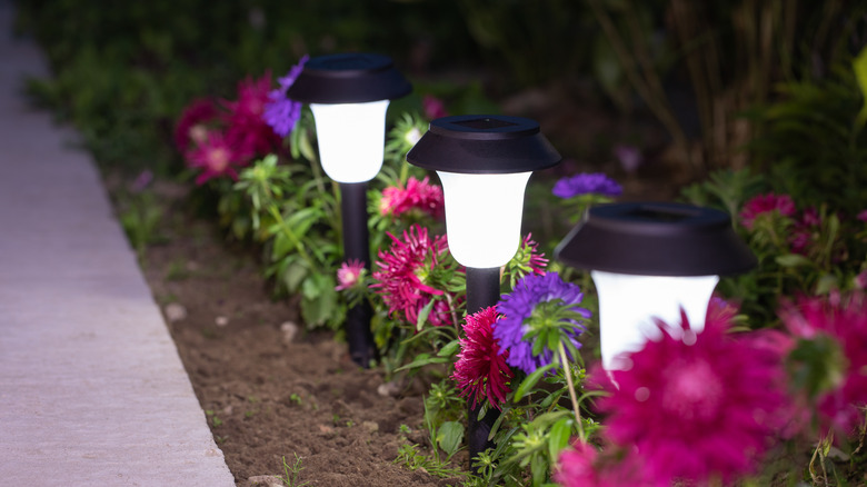 lights along the walkway