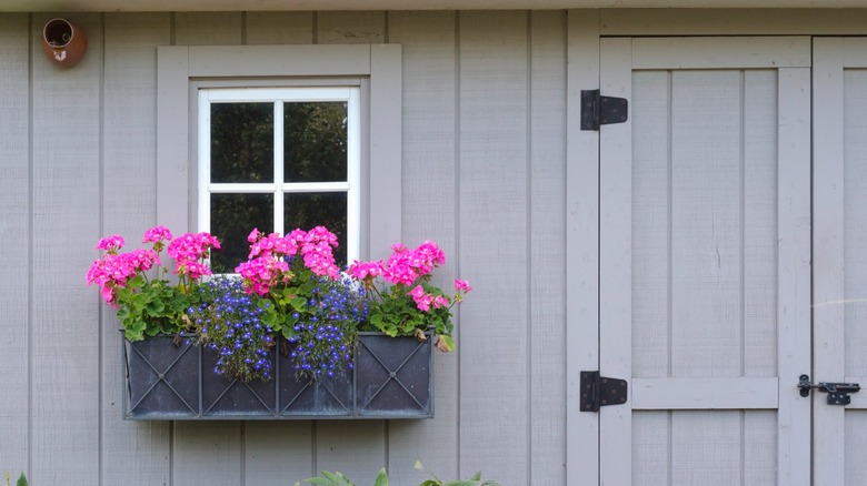 Flower box on shed