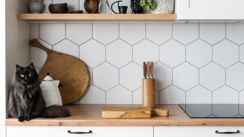 White kitchen backsplash with cat