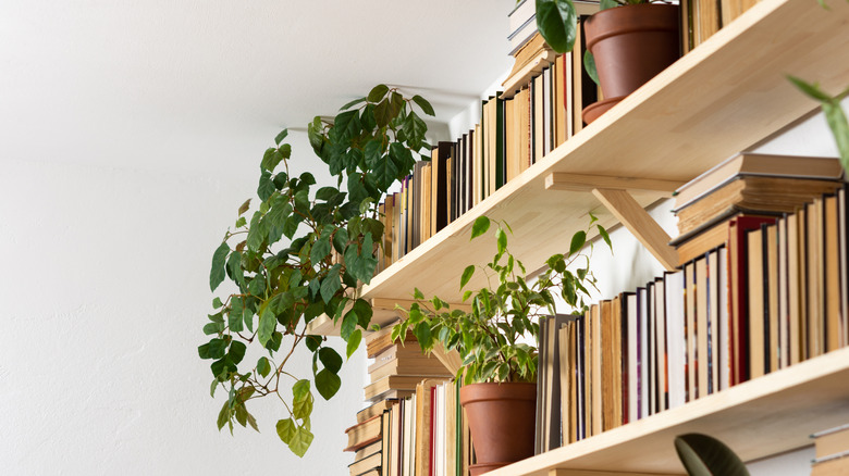 high book shelves