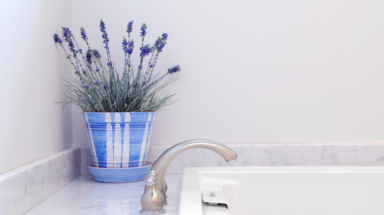 Navy blue plant pot bathroom