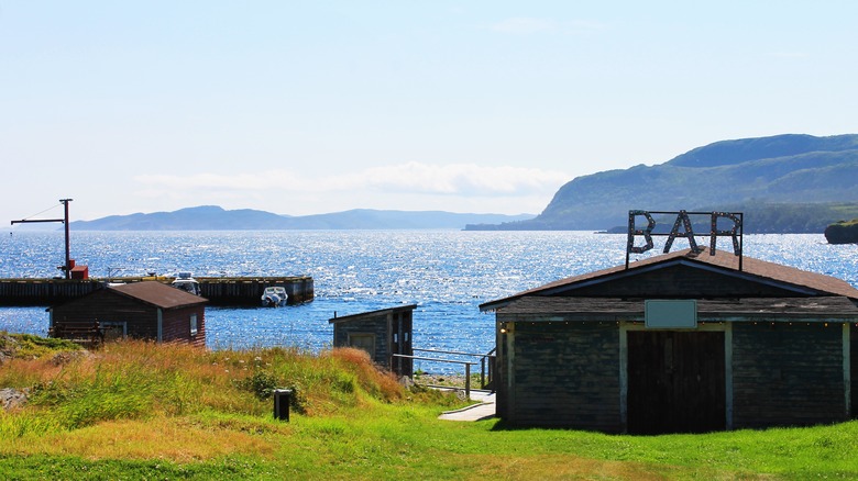 bar shed with a view 