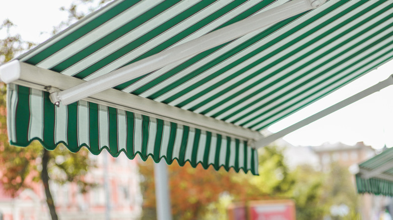 green and white awning 