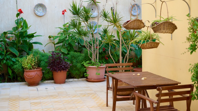 Wood furniture, terracotta pots, plants, and woven baskets