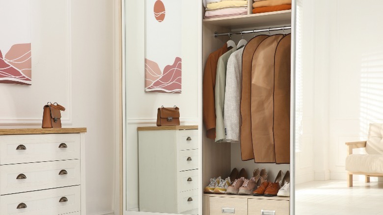 Organized closet with garment bags