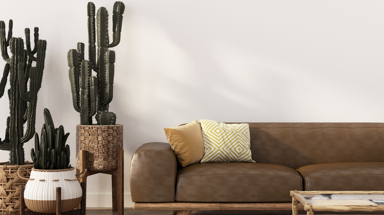 Leather sofa and cacti