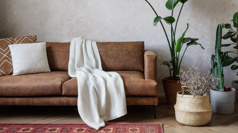 Leather sofa with plants